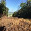 A view of Green Cove Road in South Huntsville - on the Green Mountain Log Road Trail