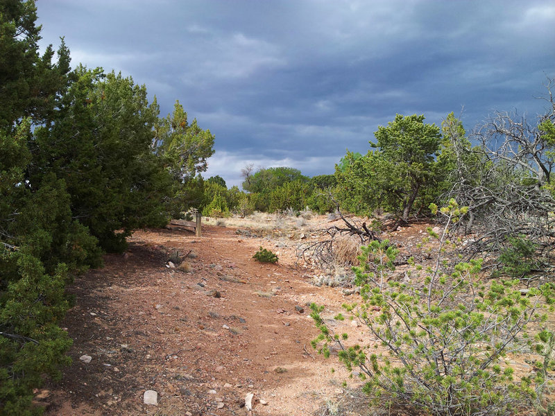 Cerro Vista Trail