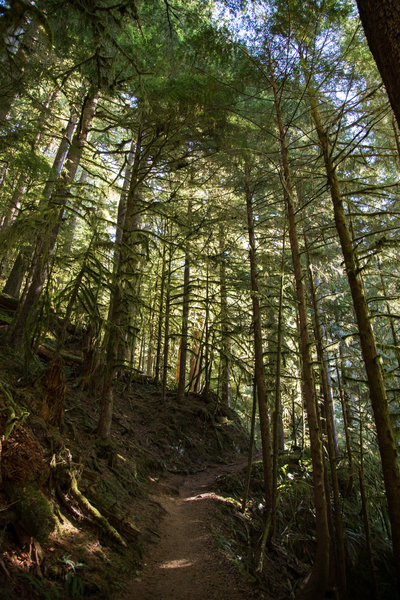 Boulder Creek Trail