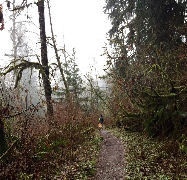 Lime Kiln Trail singletrack.