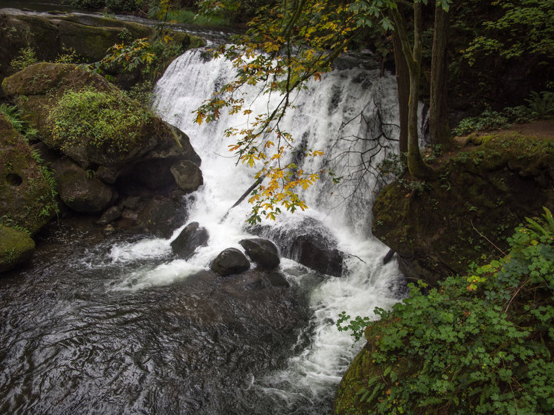 Whatcom Falls!