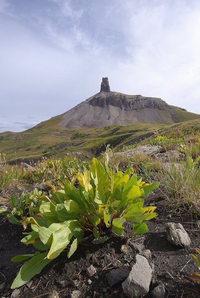 Lizard Head Peak.