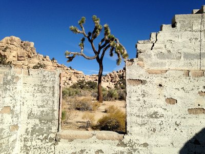 Joshua Tree National Park
