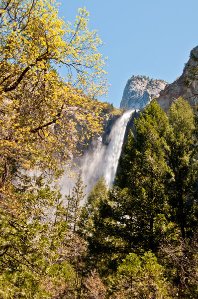 Bridalveil Waterfall, Yosemite