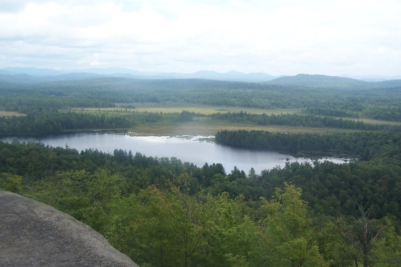 Bog River Flow