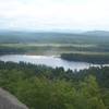 Bog River Flow