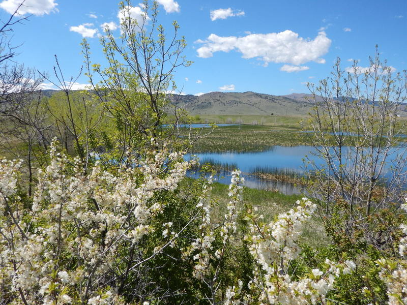 From Mesa Reservoir looking west