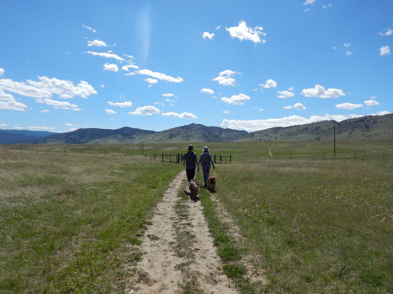 On the Degge Trail, approaching the junction with the Mesa Reservoir Trail