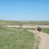 Well behaved horses on the Sage Trail