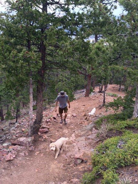 Steep and rocky section of Ranger Trail