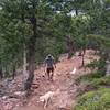 Steep and rocky section of Ranger Trail