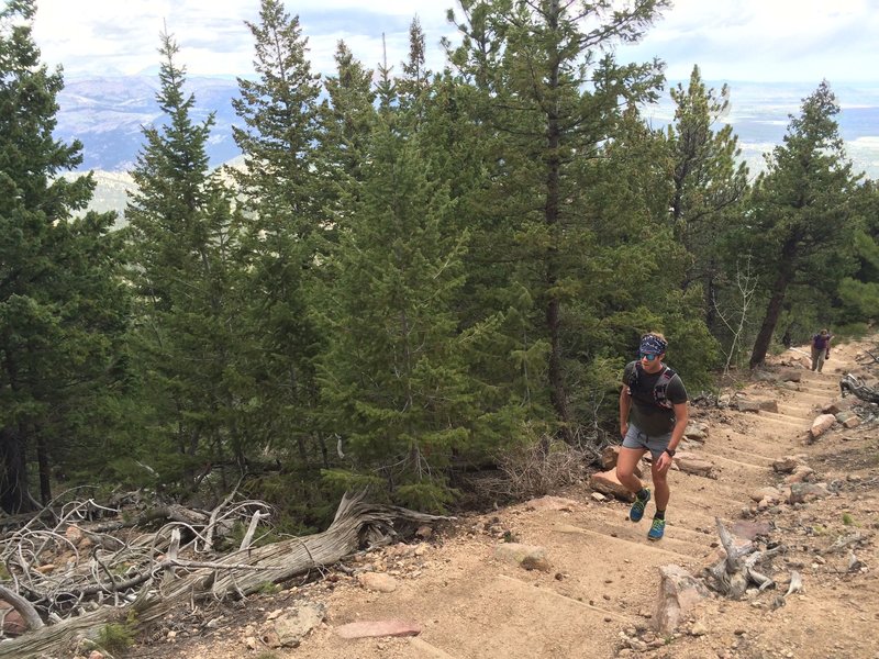 LOTS of stairs (wooden and rocks) on this section