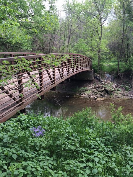 Bridge over the creek