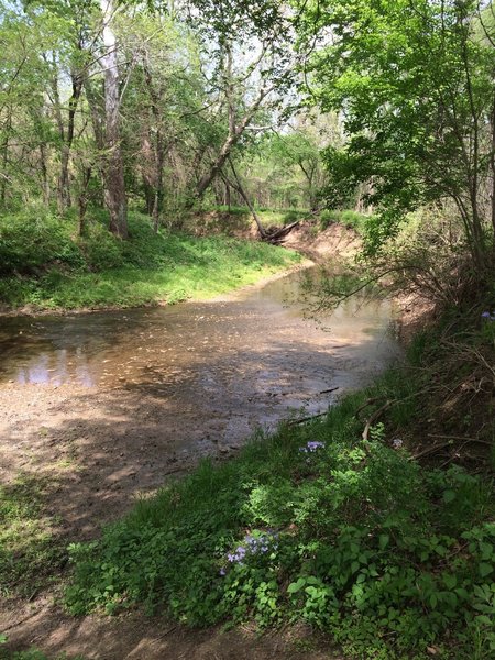 This part of the trail parallels Wolf Creek