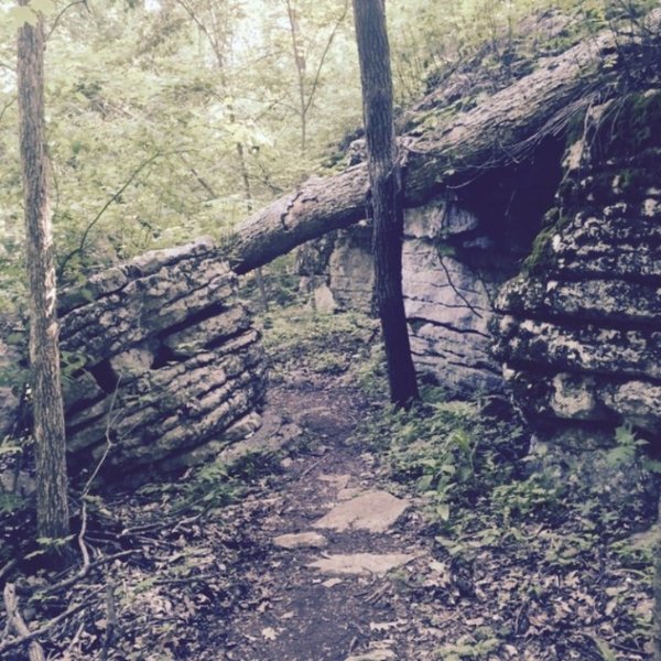 Rock Cuts on the Varnedoe Trail