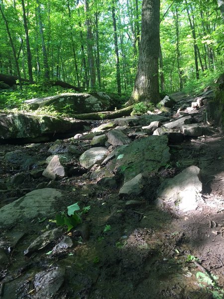 Small stream that runs down Certain Trail