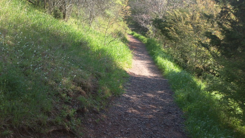 On the way to the footbridge.  Running up this path is more fun than down....