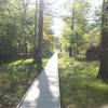 The footbridge....only singletrack point on the trail. Watch for dog pooh. People really need to clean up after their critters.