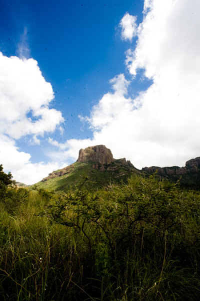 Looking up from the Chisos Basin.