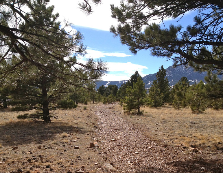 Loose rocks on this section of trail, near the southernmost section of the Marshall Mesa trail system.