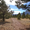 Loose rocks on this section of trail, near the southernmost section of the Marshall Mesa trail system.