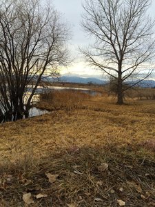 The eastern shore of Stearns Lake, looking to the west from Mary Miller Trail