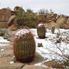 So.... sometimes it snows in the desert.