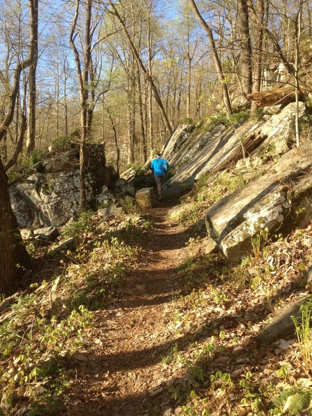 Some stone cuts on the Mountain Mist Trail