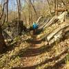 Some stone cuts on the Mountain Mist Trail