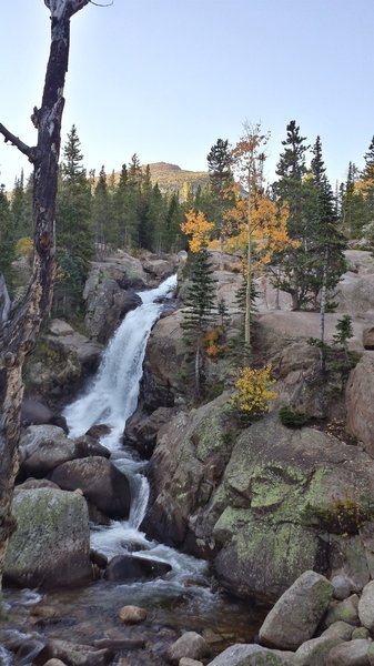 Alberta Falls