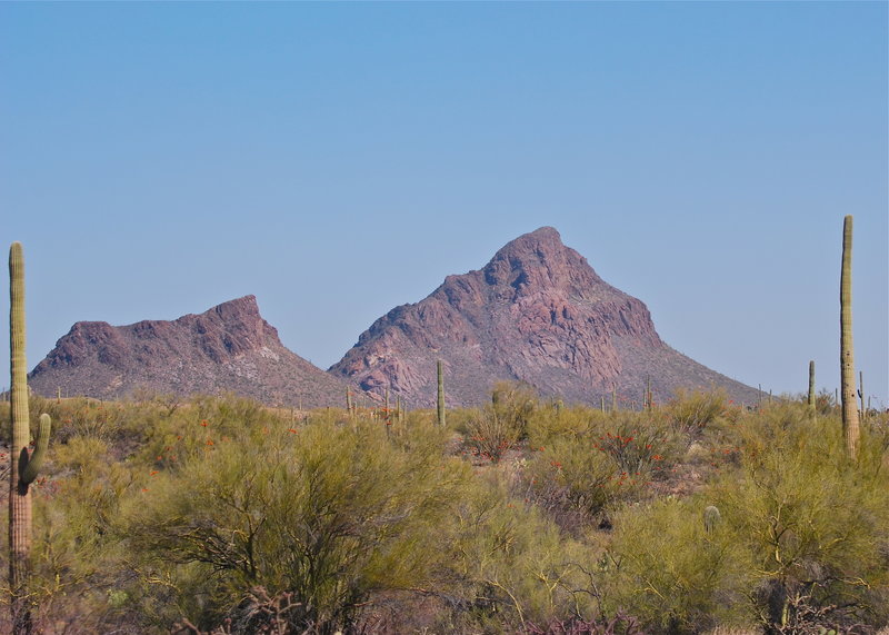 Tucson Mountain from the King Canyon Trail