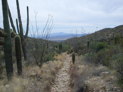 A view down the valley.