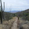 A view down the valley.