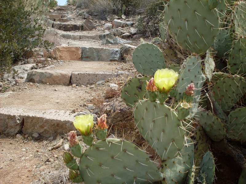 Toe catching stone steps, watch your footing!