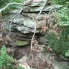 Balance Rock after a storm blew and large tree on to it.