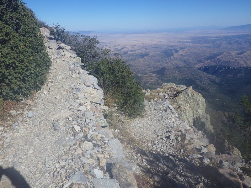Looking southeast near the summit of Mt. Wrightson