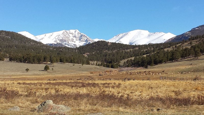 Looking at  Beaver Meadows via Deer Ridge to Moraine Park Trail