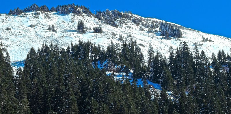 Silver Peak, upper slopes from the Annette Lake Trail