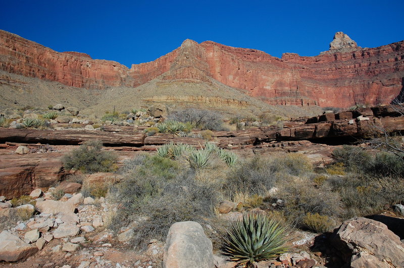 Some cool geology in Grand Canyon.