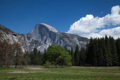 Half Dome over the forests of the valley