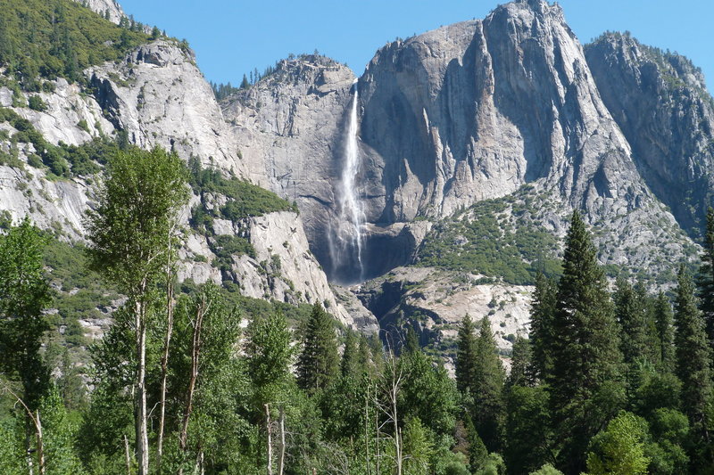 Yosemite Falls from Cook's Meadow