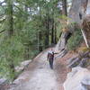 Strolling along the John Muir Trail