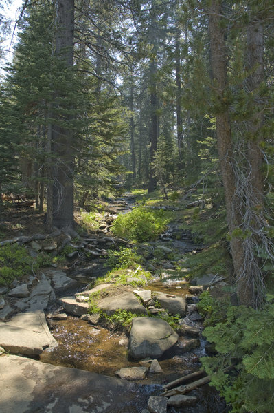 Sentinel Dome Trail