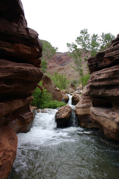 Thunder River and Deer Creek.