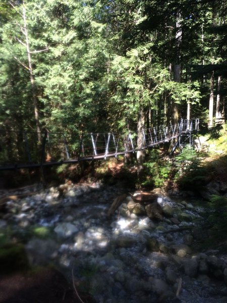 The suspension bridge that leads to Hanes Valley.  If you are heading to the Falls, DON'T CROSS, turn around and head up the hill 500 feet.