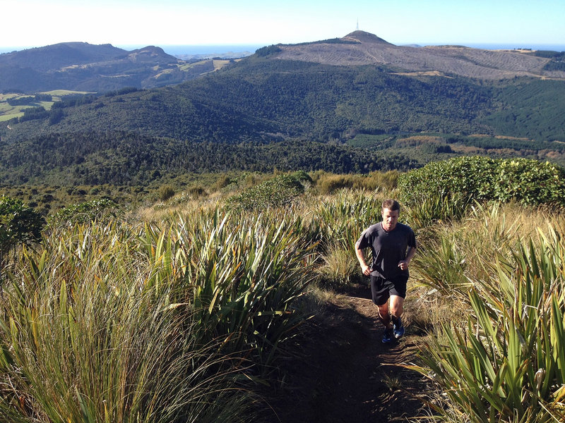 Views from the Leith Saddle Track