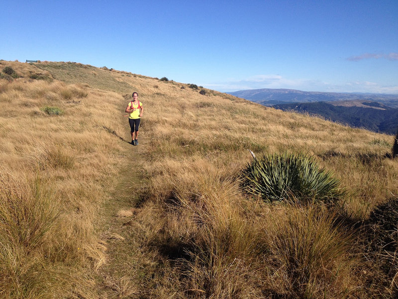 Descending from Swampy Summit