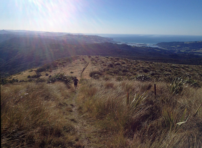 Views toward Blueskin Bay from Swampy Ridge