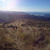 Views toward Blueskin Bay from Swampy Ridge