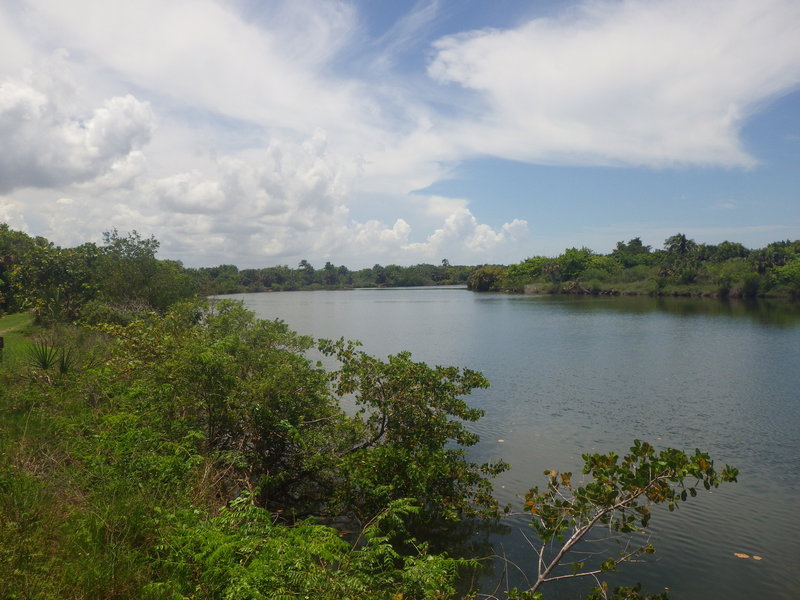 Looking out at the canal near the end of the Black Island Trail.